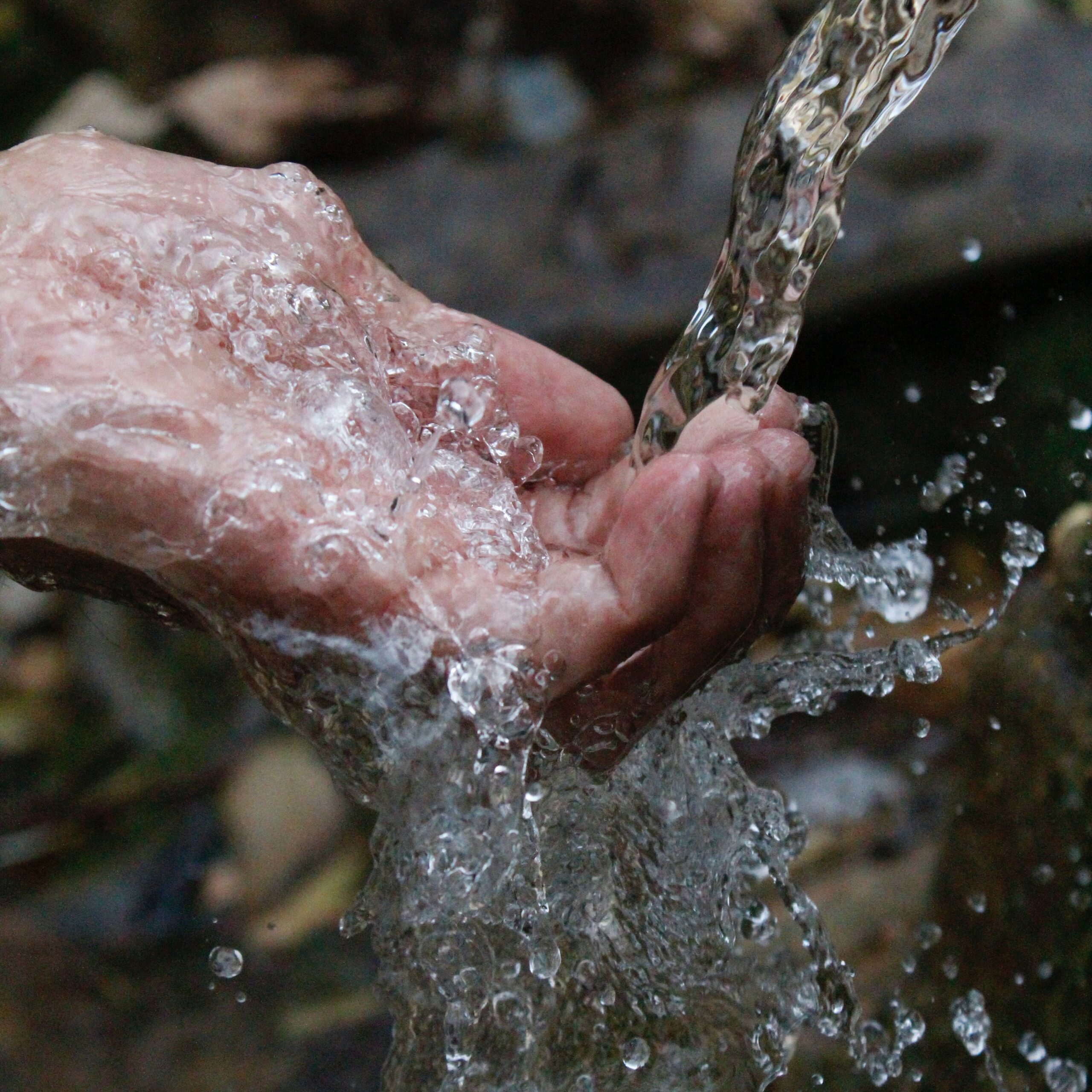 L&rsquo;eau est essentielle à la vie